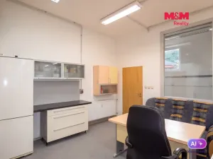 Pronájem skladu, Ostrava - Krásné Pole, Družební, 120 m2