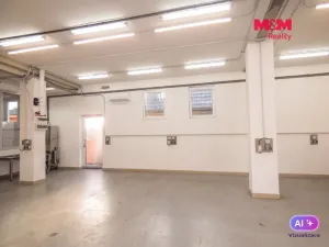 Pronájem skladu, Ostrava - Krásné Pole, Družební, 120 m2