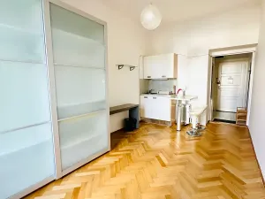 Pronájem bytu 1+kk, Praha - Žižkov, Fibichova, 25 m2