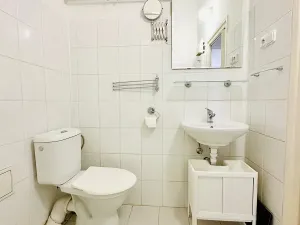 Pronájem bytu 1+kk, Praha - Žižkov, Fibichova, 25 m2