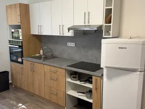Pronájem bytu 2+kk, Ostrava, Volgogradská, 51 m2