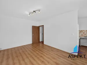 Pronájem bytu 1+kk, Praha - Podolí, Kaplická, 27 m2