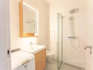 Pronájem bytu 1+kk, Praha - Vinohrady, Perunova, 22 m2