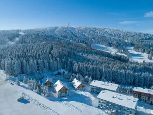 Prodej bytu 1+kk, Loučná pod Klínovcem, 37 m2