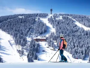 Prodej bytu 1+kk, Loučná pod Klínovcem, 37 m2