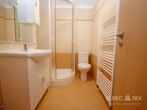 Pronájem bytu 2+kk, Tábor, Budějovická, 38 m2