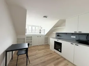 Pronájem bytu 1+kk, Praha - Nusle, Petra Rezka, 19 m2