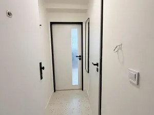 Pronájem bytu 1+kk, Praha - Nusle, Petra Rezka, 19 m2