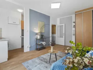Prodej bytu 1+kk, Praha - Veleslavín, Na okraji, 25 m2
