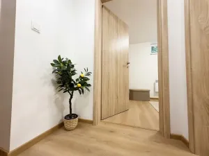 Prodej bytu 3+kk, Brno, Kovácká, 51 m2