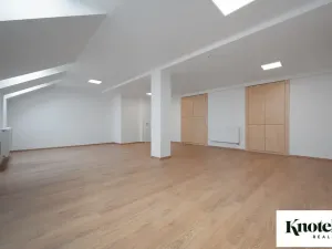 Pronájem bytu 6+kk a větší, Brno, Štefánikova, 400 m2