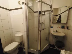 Prodej bytu 3+1, Praha - Žižkov, Buková, 73 m2