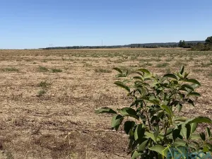 Prodej pozemku pro bydlení, Chroustovice, 8572 m2