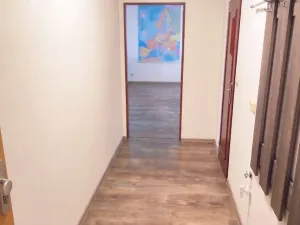 Pronájem bytu 1+kk, Ostrava - Krásné Pole, Družební, 41 m2