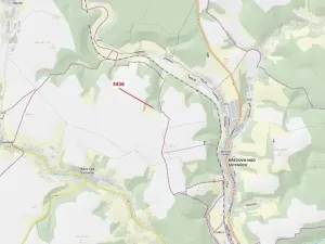 Dražba lesa, Bělá nad Svitavou, 212 m2