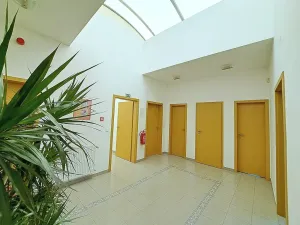 Pronájem obchodního prostoru, Tečovice, 890 m2