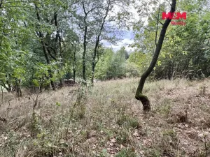 Prodej pozemku pro bydlení, Pyšely - Zaječice, 2037 m2