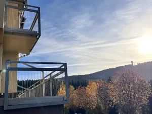 Prodej bytu 1+kk, Loučná pod Klínovcem, 33 m2