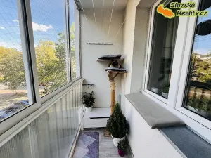 Prodej bytu 2+1, Kladno, Vitry, 54 m2