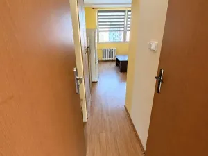 Pronájem bytu 1+1, Roudnice nad Labem, Bořivojova, 35 m2