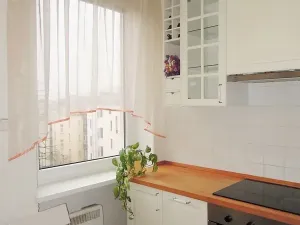 Pronájem bytu 1+1, Brno, Gorkého, 40 m2