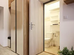 Pronájem bytu 1+kk, Brno, Koliště, 23 m2