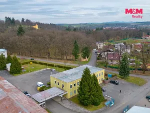 Pronájem kanceláře, Horšovský Týn - Malé Předměstí, Zahradní, 21 m2