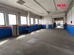 Pronájem obchodního prostoru, Hradec Králové, Panelová, 190 m2