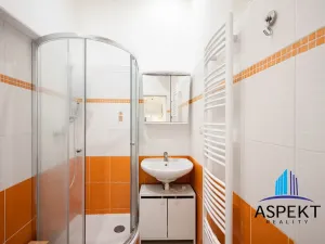 Pronájem bytu 2+1, Praha - Karlín, Vítkova, 50 m2