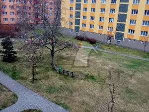 Pronájem bytu 2+1, Kolín, Družstevní, 62 m2