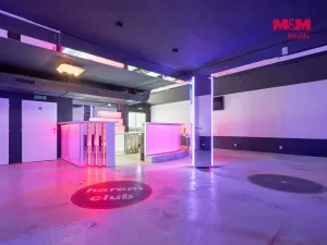 Pronájem obchodního prostoru, Drslavice, 365 m2