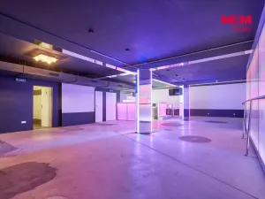 Pronájem obchodního prostoru, Drslavice, 365 m2