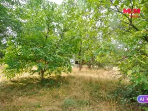Prodej chaty, Družec, 21 m2