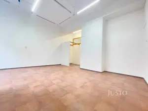 Pronájem kanceláře, Děčín, Teplická, 48 m2