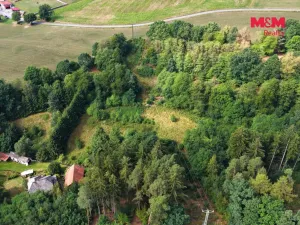 Prodej louky, Světlá nad Sázavou - Dolní Březinka, 1831 m2