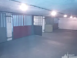 Pronájem garážového stání, Praha - Podolí, Kubištova, 17 m2