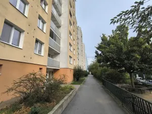 Pronájem bytu 2+kk, Brno, Svážná, 47 m2