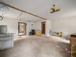 Prodej chaty, Bernartice, 178 m2