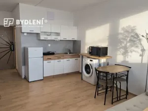 Pronájem bytu 1+kk, Ústí nad Labem, Hoření, 22 m2