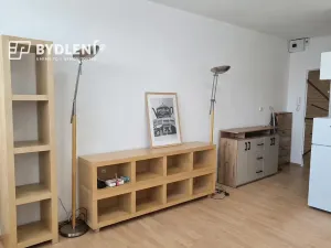 Pronájem bytu 1+kk, Ústí nad Labem, Hoření, 22 m2