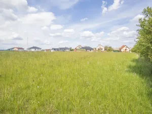 Prodej pozemku, Stolany, 2629 m2