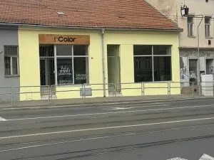 Pronájem obchodního prostoru, Brno - Zábrdovice, Cejl, 135 m2