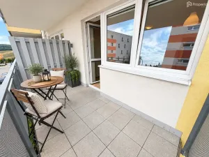 Pronájem bytu 1+kk, Brno, Lišejníková, 35 m2