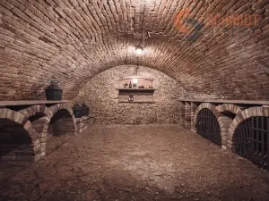 Prodej rodinného domu, Mikulov, 1. května, 310 m2