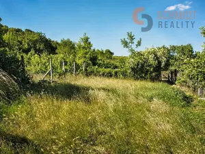 Prodej pozemku pro bydlení, Pavlov, Na Cimbuří, 849 m2