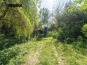 Prodej zahrady, Nymburk, 2442 m2