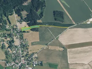 Prodej louky, Doubravice, 8061 m2