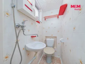 Prodej chaty, Týniště nad Orlicí - Rašovice, 40 m2