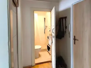 Pronájem bytu 2+kk, Brno, Gorkého, 35 m2