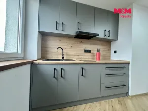 Pronájem bytu 1+kk, Klatovy - Luby, 30 m2